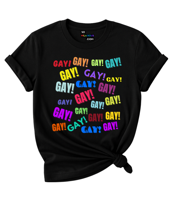 Gay! Gay! Gay! LGBTQ+ T-Shirt.