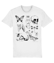 Load image into Gallery viewer, White t-shirt featuring a quirky bones and bugs design, perfect for alternative and spooky style lovers.
